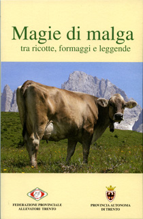 copertina del libro