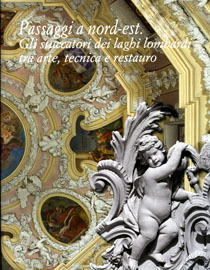 copertina del libro