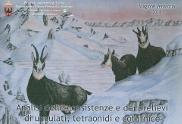 copertina del libro