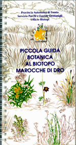 copertina del libro