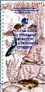 copertina del libro