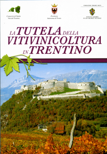 copertina del libro