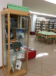 Biblioteca della Giunta - interno